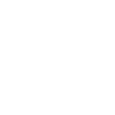 Compliance with government consultation principles icon